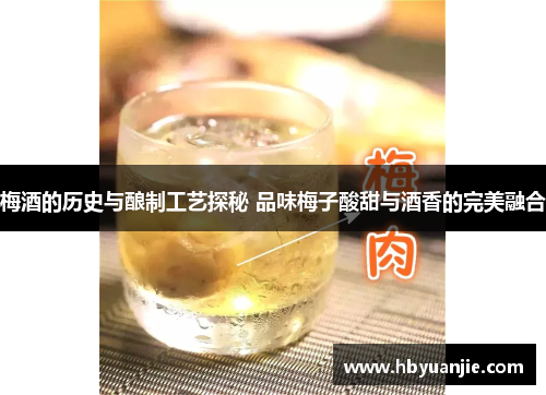 梅酒的历史与酿制工艺探秘 品味梅子酸甜与酒香的完美融合