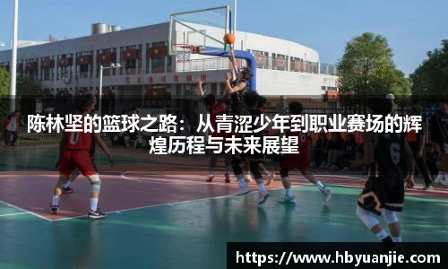 陈林坚的篮球之路：从青涩少年到职业赛场的辉煌历程与未来展望