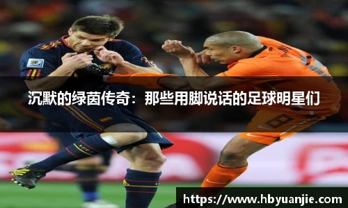 好博体育登陆人口