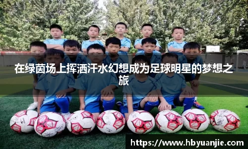在绿茵场上挥洒汗水幻想成为足球明星的梦想之旅